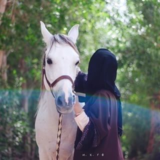 رمزيات خيول وبنات