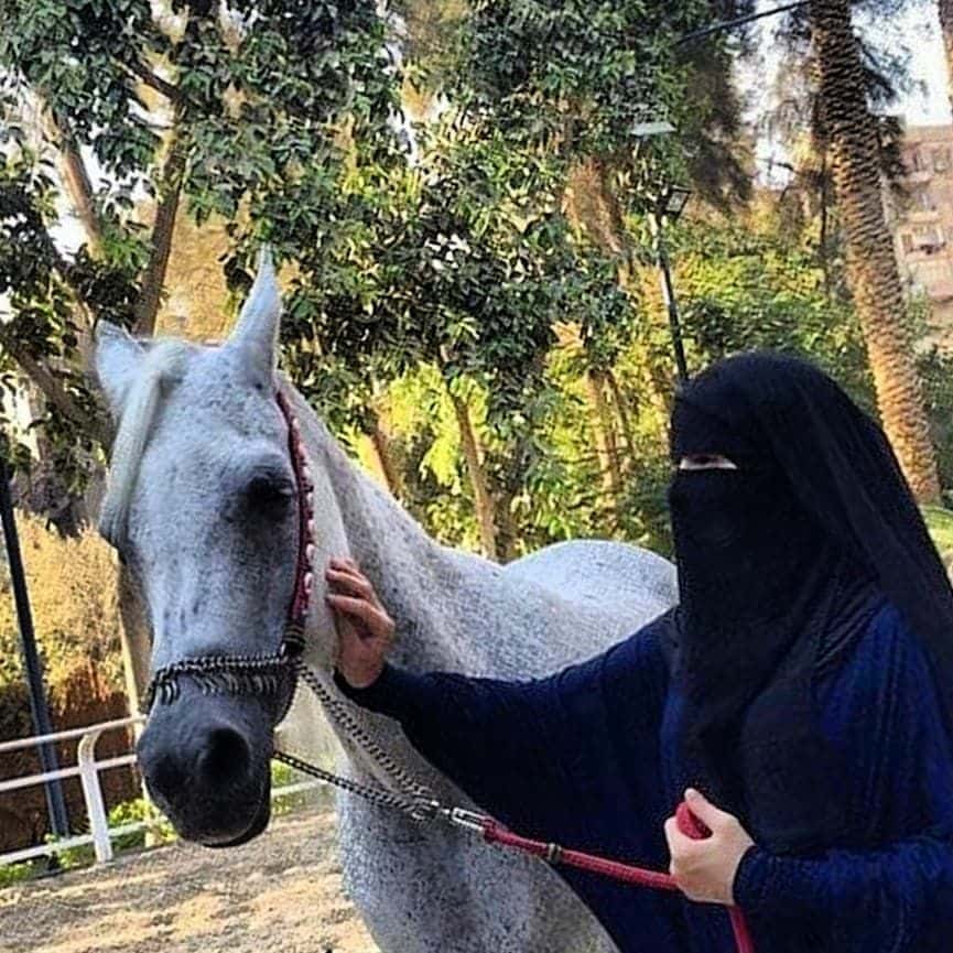 رمزيات خيول وبنات