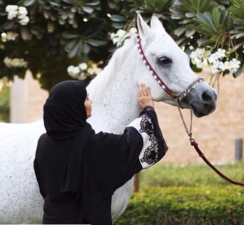 رمزيات خيول وبنات