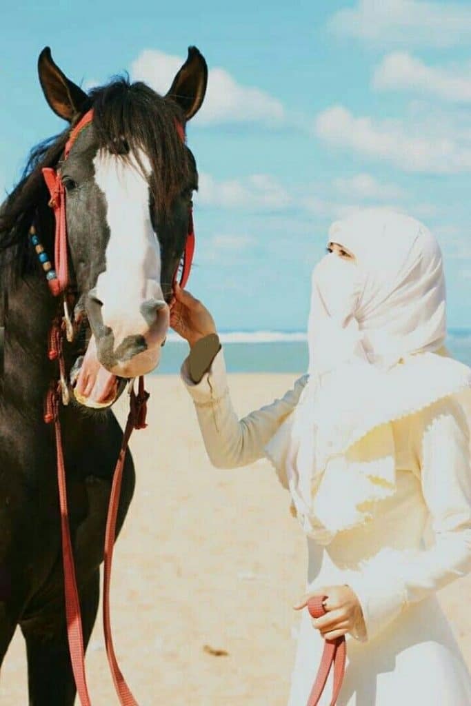 رمزيات خيول وبنات