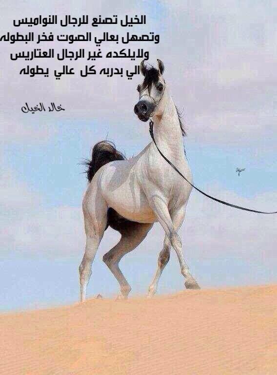 رمزيات خيول وبنات