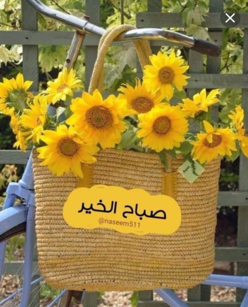 رمزيات صباحية جديدة