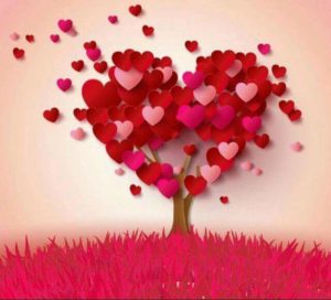 روايات مغربية