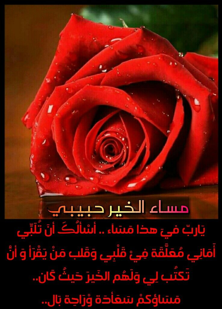 رومانسيات حب وغزل