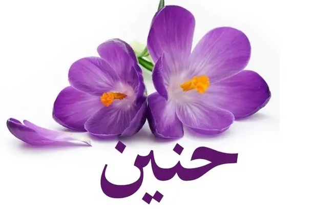 زخرفة اسم حنين