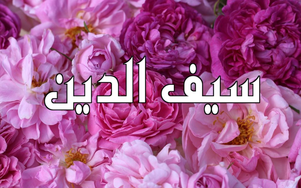 زخرفة اسم سيف الدين