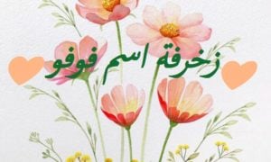 زخرفة اسم فوفو