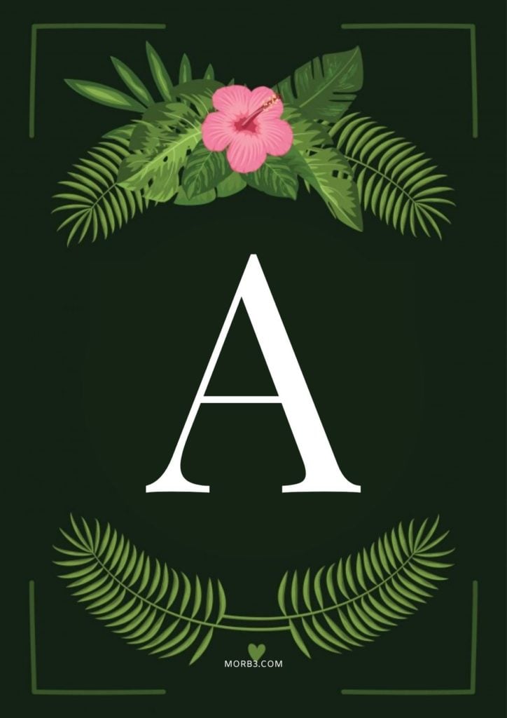 زخرفة اسم فوفو