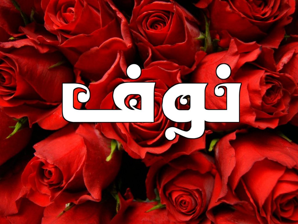 زخرفة اسم نوفة