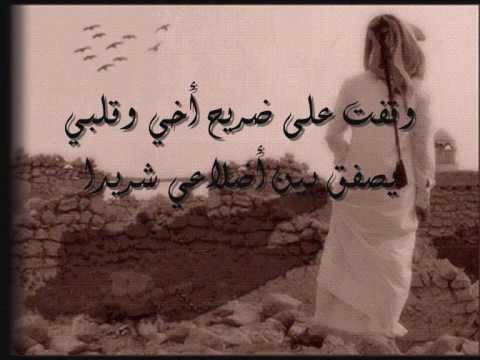 شعر الإمام علي عن الأخ
