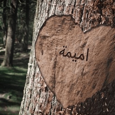 شعر باسم اميمة