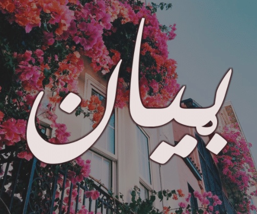 شعر باسم بيان