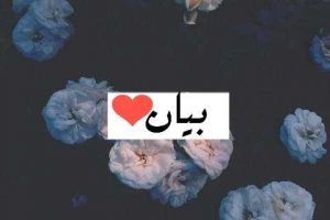 شعر باسم بيان