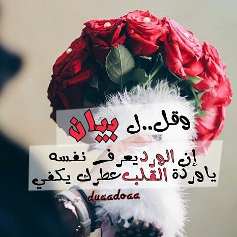 شعر باسم بيان