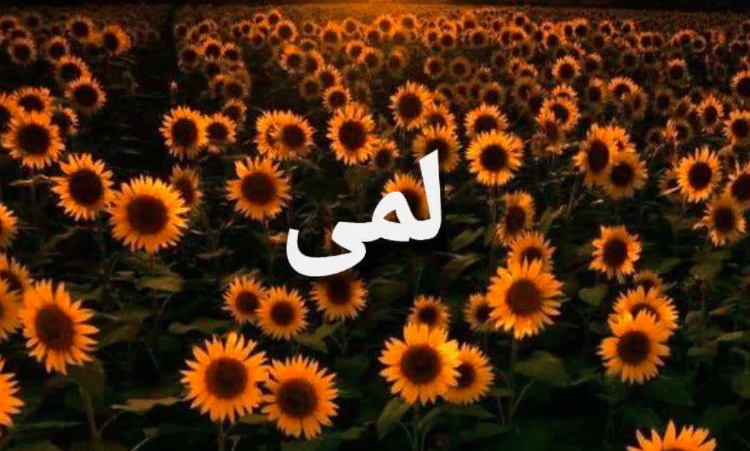 شعر باسم لمى