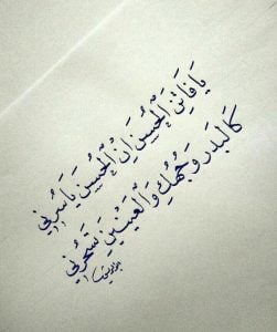 شعر بدوي عن البعد