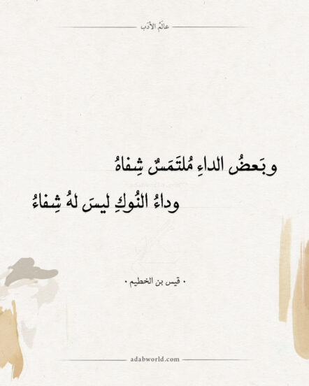 شعر عن الغباء