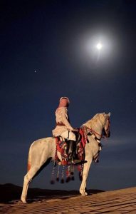 شعر بدوي عن الديار