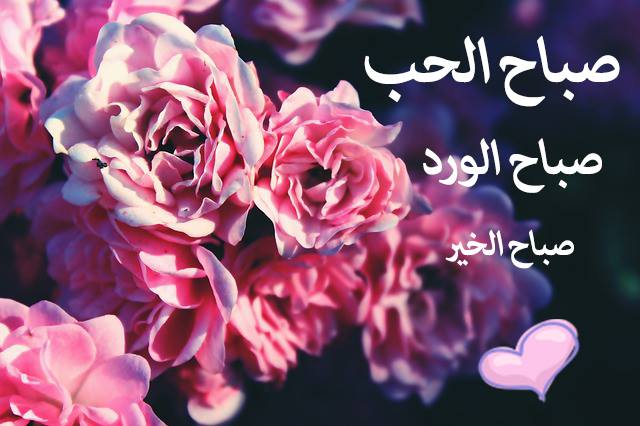 شعر صباح الخير