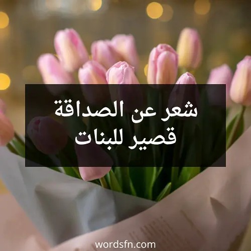 شعر عن الصداقة قصير للبنات