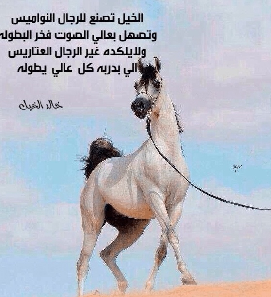 شعر في وصف الفارس