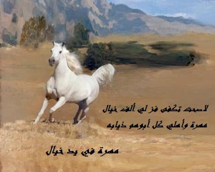شعر في وصف الفارس