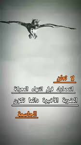 شعر عن القوة والتحدي