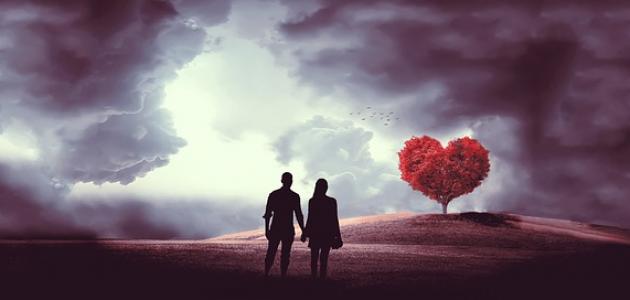 شكرا لك حبيبي