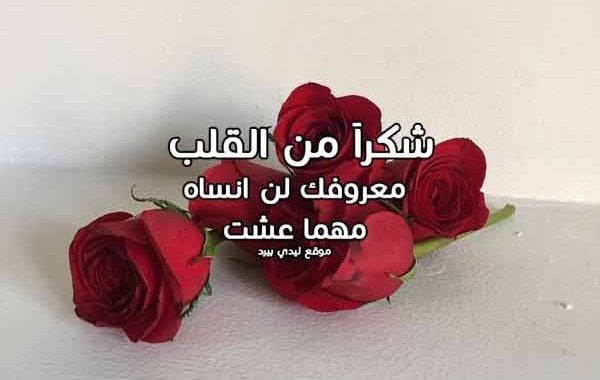 شكرا لك حبيبي