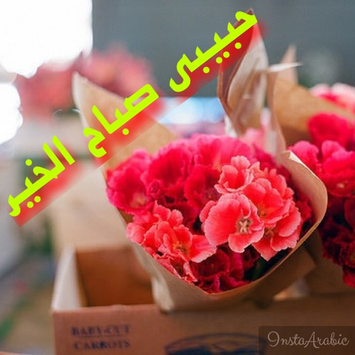 صباح الحب حبيبتي