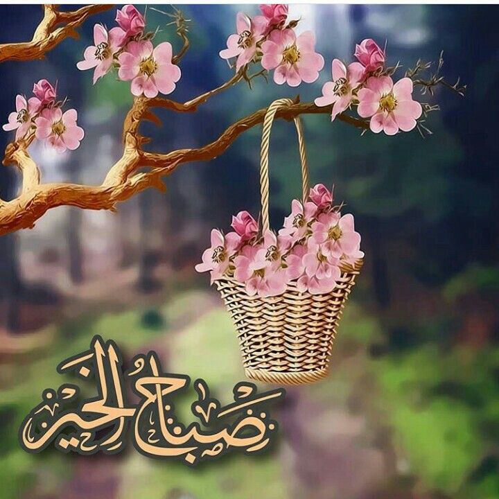 صباح الحب حبيبتي