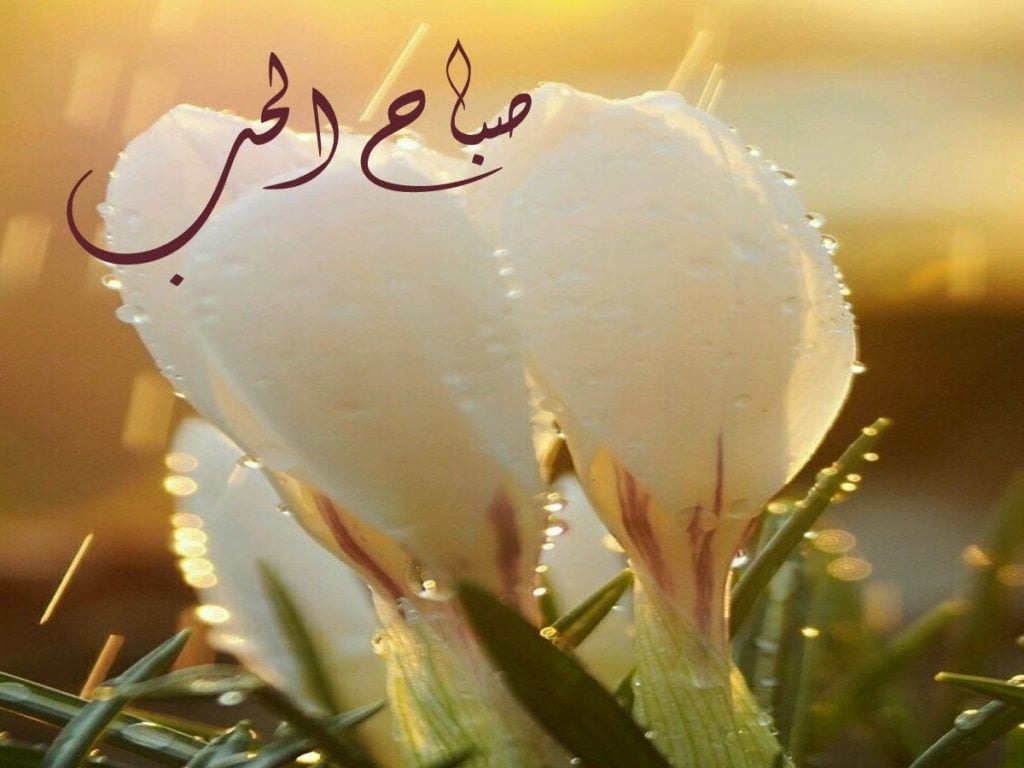 صباح الحب زوجتي