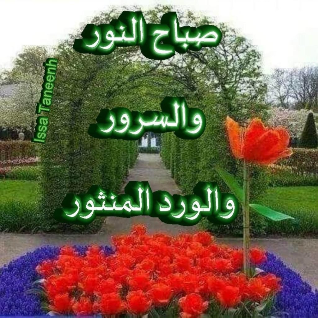 صباح النور والسرور