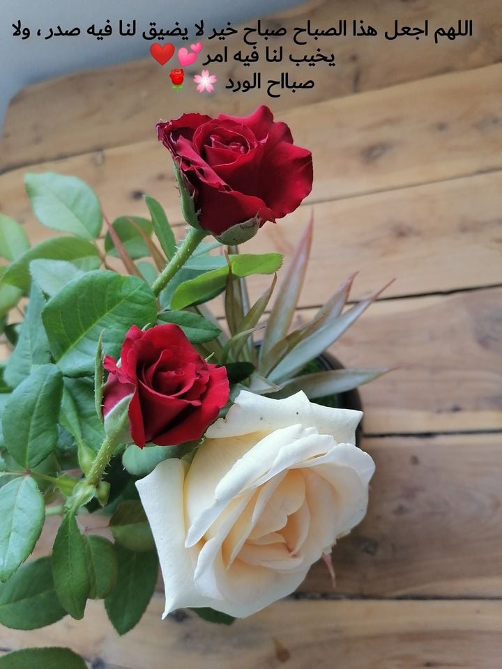 صباح النور والسرور