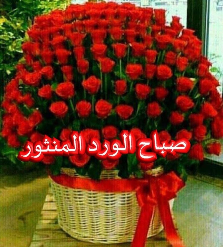 صباح النور والسرور