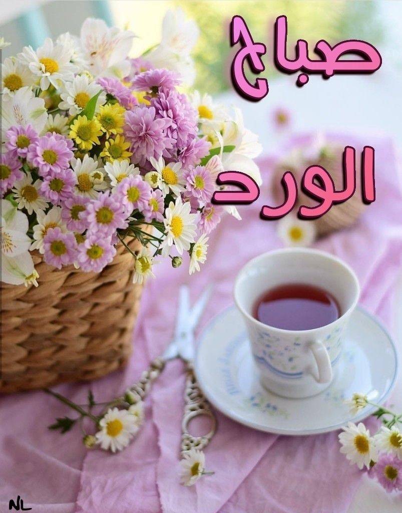 صباح الورد وعطره