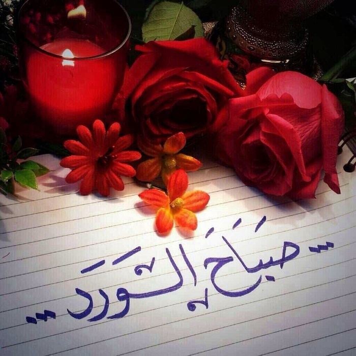 صباح الورد وعطره
