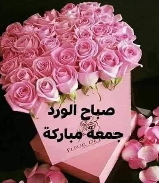 صباح الورد وعطره