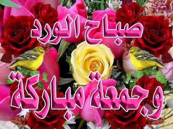 صباح الورد وعطره