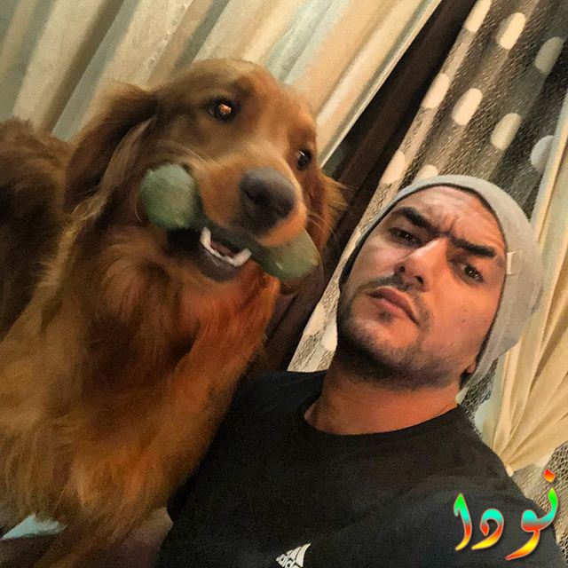 صور احمد العوضى