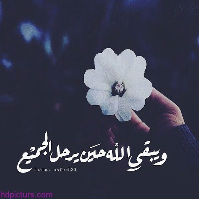 صور دينية