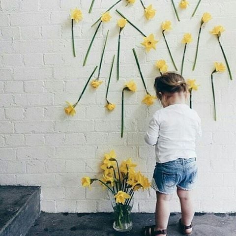 صور صفراء