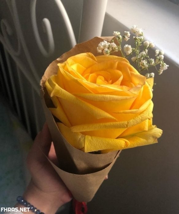 صور صفراء