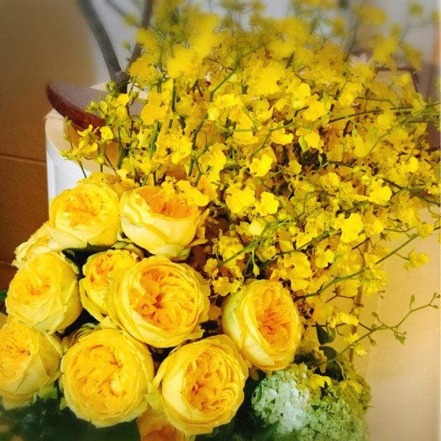 صور صفراء