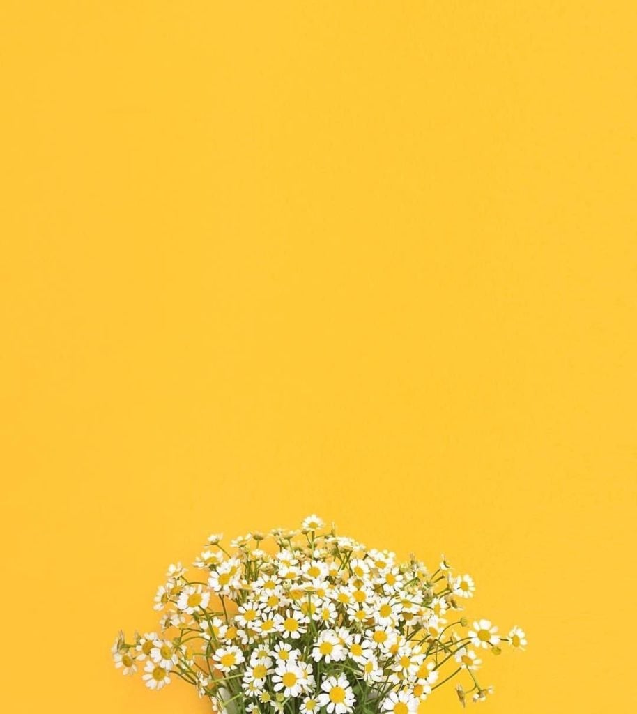 صور صفراء