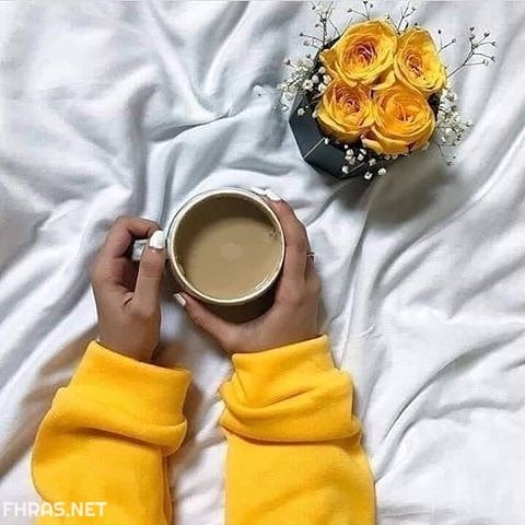 صور صفراء
