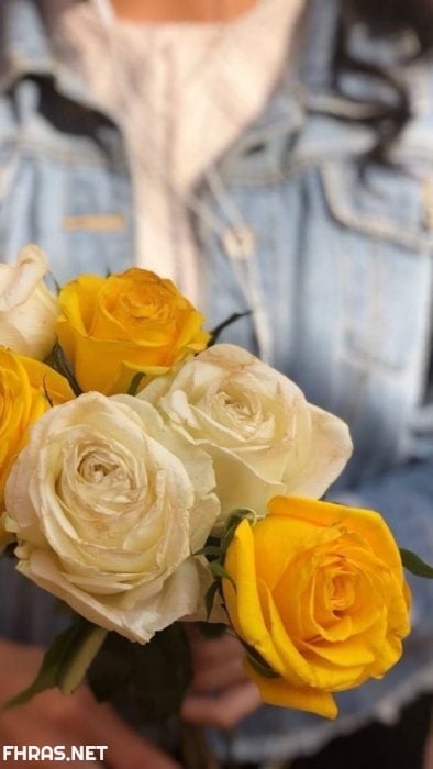 صور صفراء