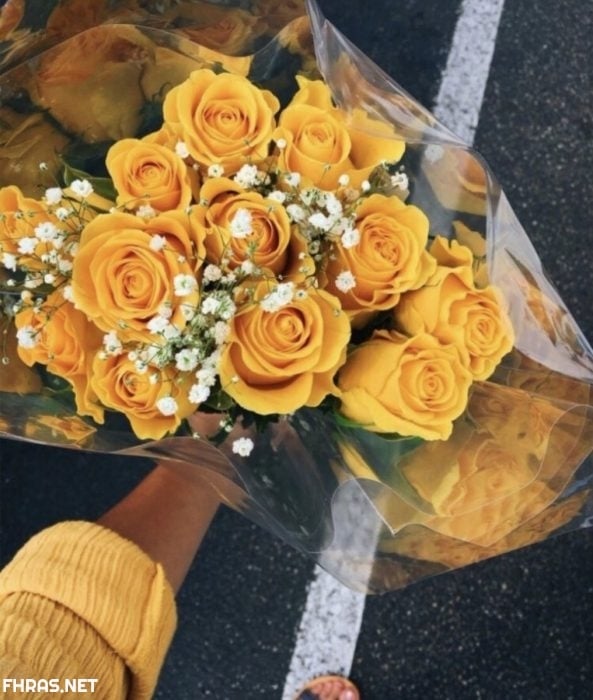صور صفراء
