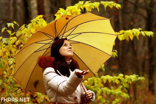 صور صفراء