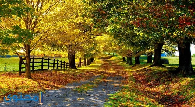 صور طبيعيه